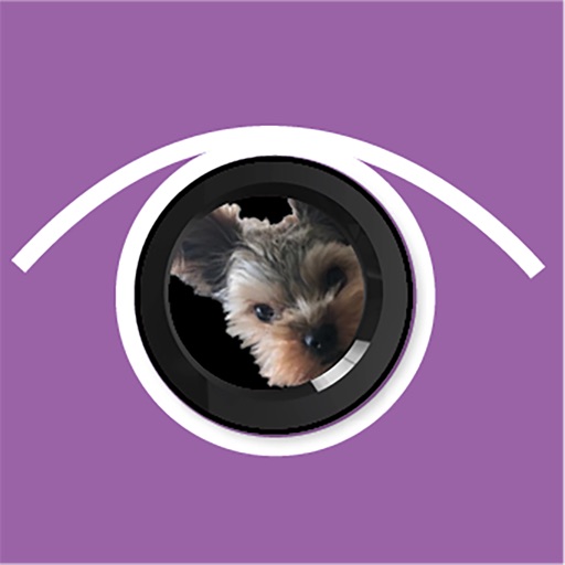 KeepDogEye.com