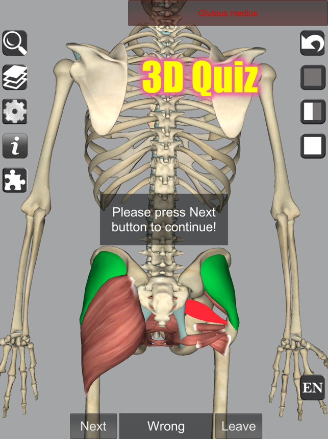 ‎Captura de tela de anatomia 3D
