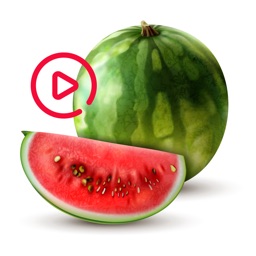 Animated Watermelon Stickers