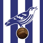 Boing Boing Baggies Fanzine