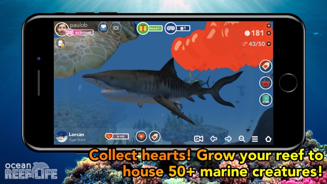 Ocean Reef Life - 3D Aquarium(圖2)-速報App