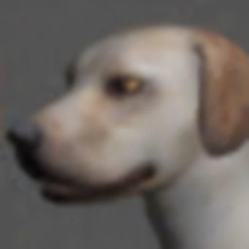 Labrador Pose Tool 3D icon