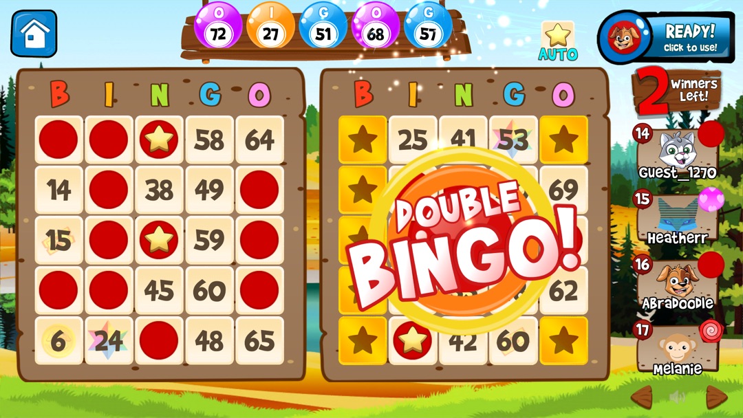 How To Cheat In Bingo Game newvo