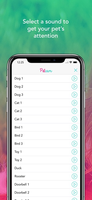 Petcam - Pet Camera(圖2)-速報App