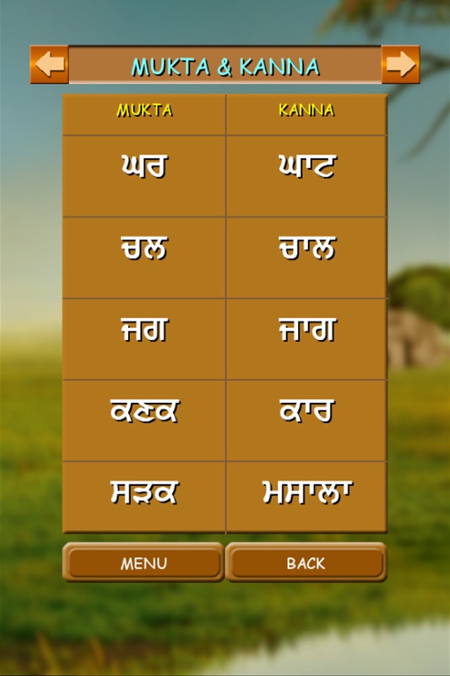 LEARN PUNJABI GURMUKHI screenshot 4