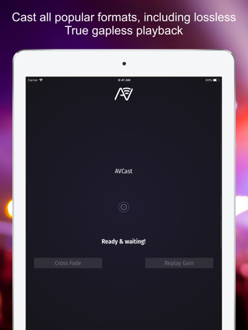 AVCast screenshot 2