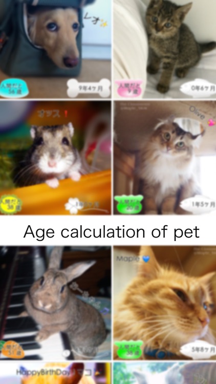 Pets Age