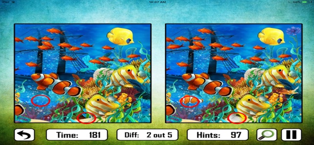 Animal Find The Difference(圖3)-速報App