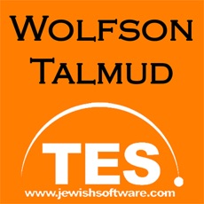 Wolfson Talmud