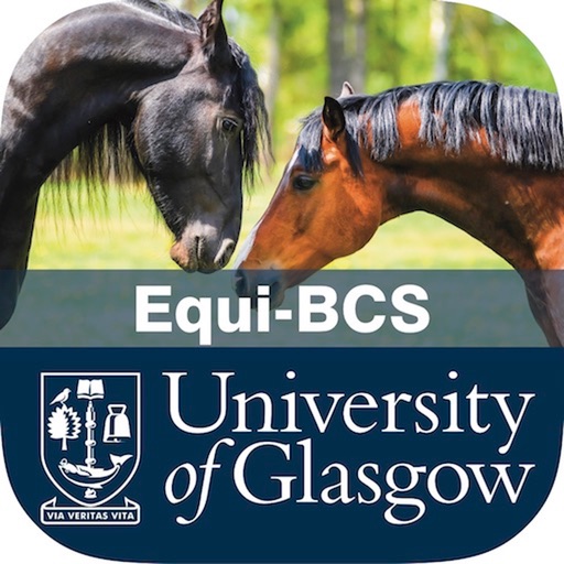 Equine Body Condition Scoring Download