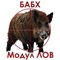 Mobile application for generating and submitting protocols to the Bulgarian Food Safety Agency, in the case of hunted or found game