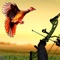 Icon Pheasant Bow Hunting Safari