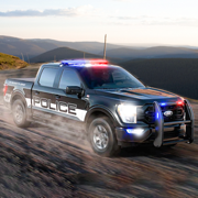Police Games Cop Car Chase