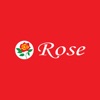 Rose India