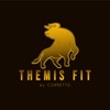 THEMIS-FIT