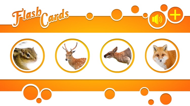 Flash Cards - Animals - HD