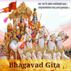 Shrimad Bhagavad Gita English - Mohit Agarwal