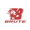 Brute MMA and Fitness