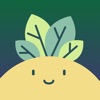 Icon Plant Identifier, Care: Planty