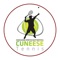 Con l'App di Wansport del ASD Cuneese Tennis arai sempre aggiornato sulle attività ricreative e sportive del club