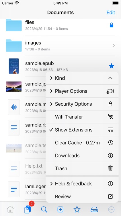 FM File Explorer