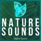 Icon Nature Sounds : Relax & Calm