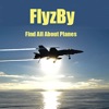 FlyzBy