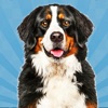 Dog Simulator-Pet Animal Life