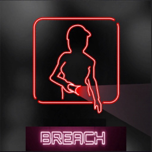 Security Nights Chapter Breach