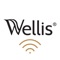 Wellis Spa Control