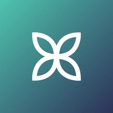 Bloom Support Читы