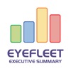 EyeFleet Executive Summary