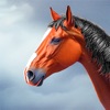 Wild Horse Animal Simulator