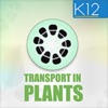 Transport in Plants Biology