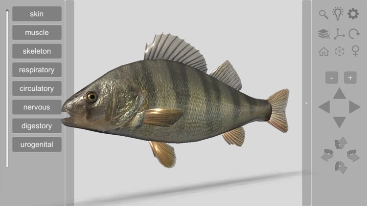 3D Fish Anatomy screenshot-0