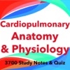 Cardiopulmonary A&P Exam Prep