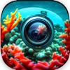 AI Reef Cam