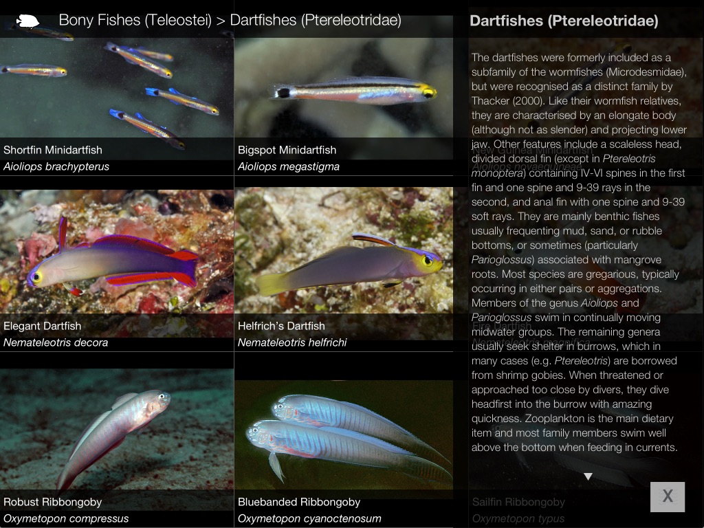 Reef Fishes of East Indies V3 screenshot 2
