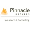 Pinnacle Brokers Insurance