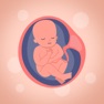 Get Календарь Беременности + for iOS, iPhone, iPad Aso Report