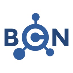 BullionCoin Network
