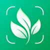 PlantNow-Plant Identification - Xornado Global Limited