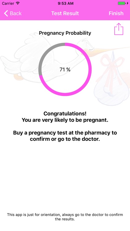 Pregnancy Test Quiz