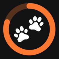  StepDog -  chien de compagnie Application Similaire