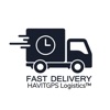 HAVITGPS Logistics