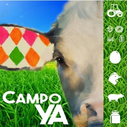 CampoYA