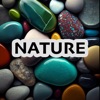 Nature live wallpapers !