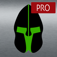 Paladin VFR Pro 2023