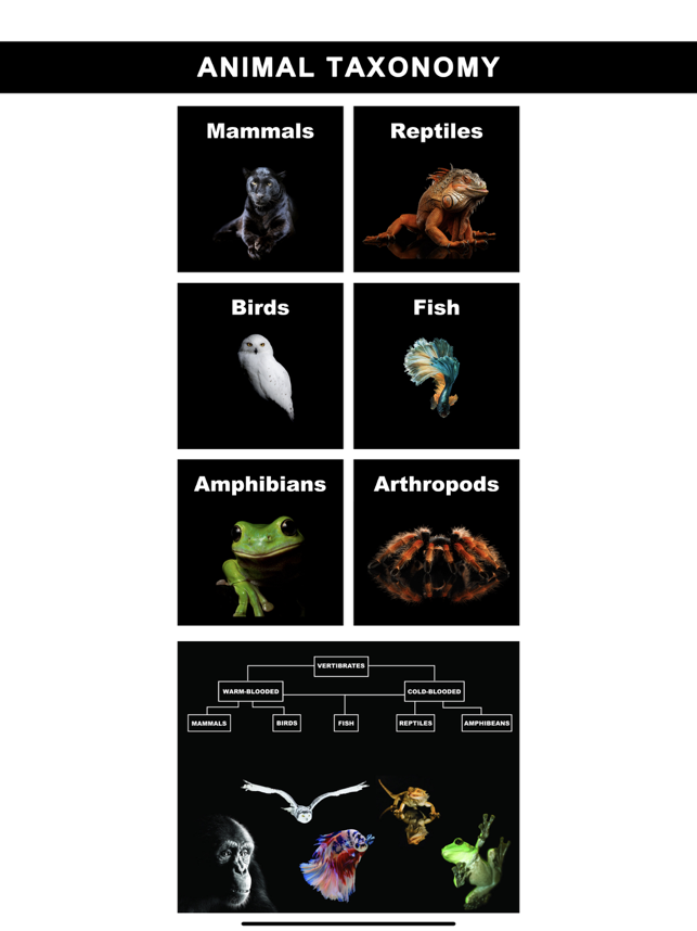 ‎Animals  -  Taxonomy Screenshot