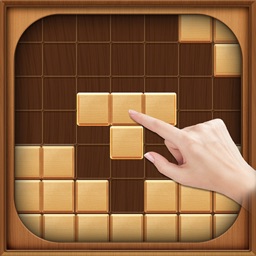 Block puzzle Casual game woody